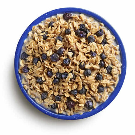 Mountain House GRANOLA with MILK & BLUBERRIES Pouch (2 Servings)