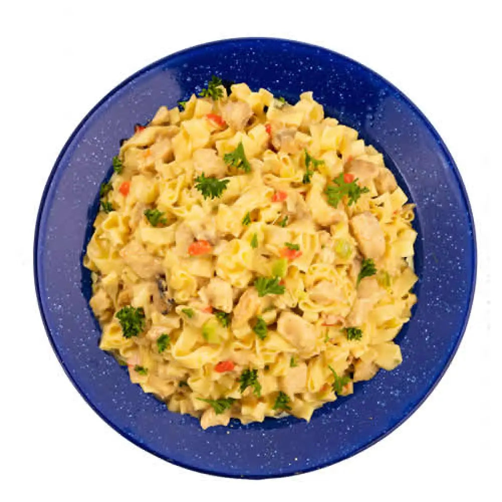 Mountain House Homestyle Chicken Noodle Casserole