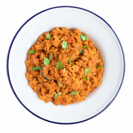 Mountain House Mexican Style Adobo Rice & Chicken