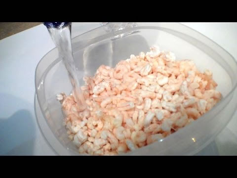 Freeze Dried Bay Shrimp