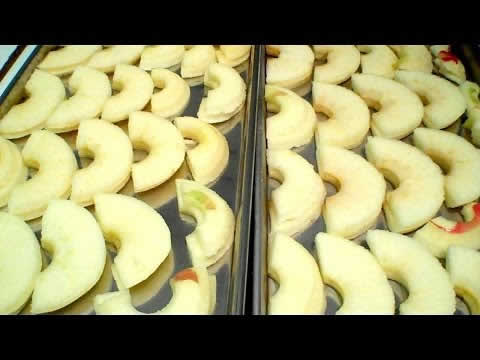 Freeze Dried Canned Pears & Honey Crisp Apples