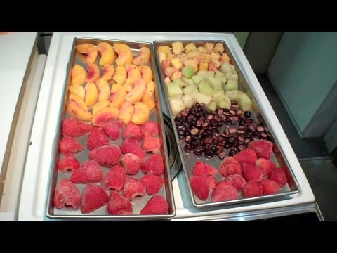 Freeze Dried Fruits & Ice Cream Treats