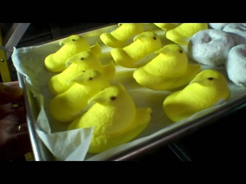 Freeze Dried Peeps, Melons, Bananas & More