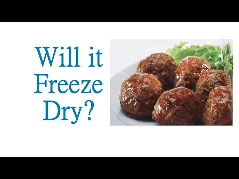 Will it Freeze Dry? Freeze Dried Meatballs in our Harvest Right Home Freeze Dryer