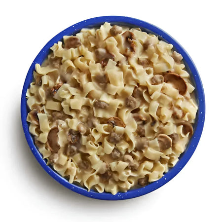 Mountain House BEEF STROGANOFF with NOODLES Pouch (2-Servings)