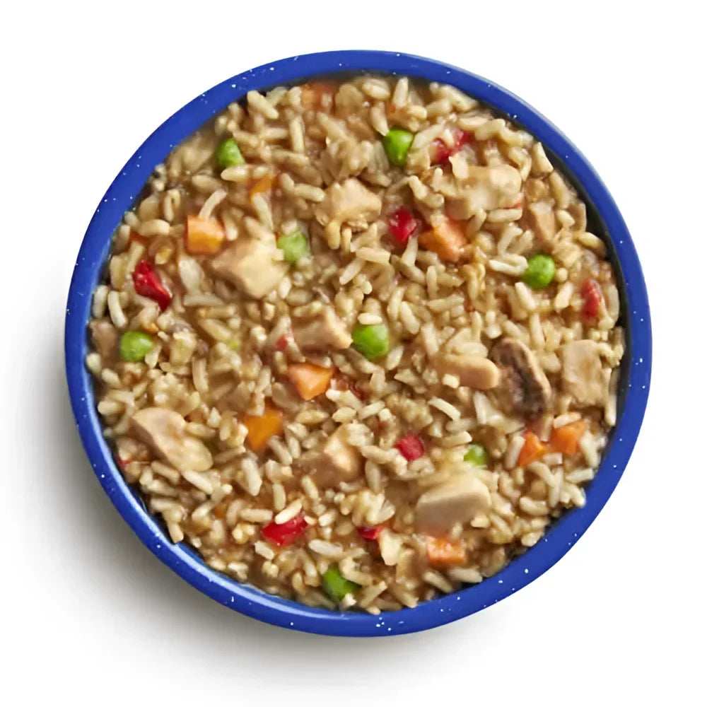 Mountain House CHICKEN TERIYAKI 
