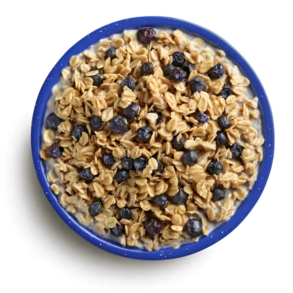 Mountain House GRANOLA with MILK & BLUBERRIES