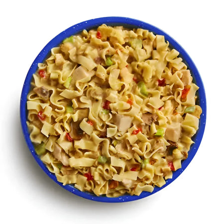Mountain House HOMESTYLE CHICKEN NOODLE CASSEROLE