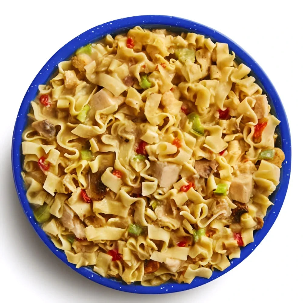 MILITARY Pro-Pak HOMESTYLE CHICKEN NOODLE CASSEROLE (1 Serving)