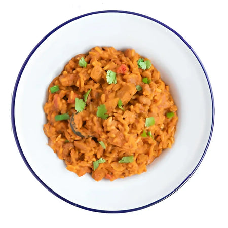 Mountain House Mexican Style Adobo Rice & Chicken